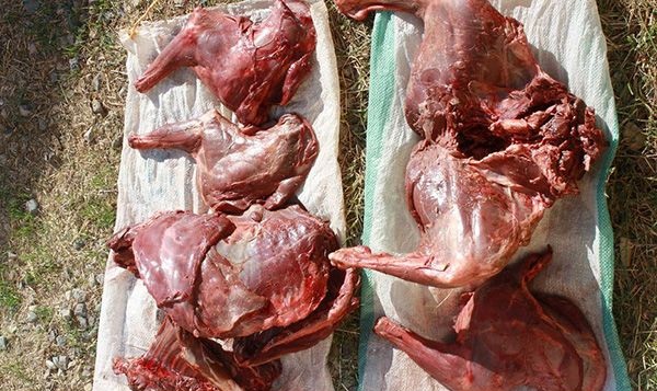 برخورد با عاملین فروش گوشت در جاده مسجدسلیمان-شوشتر