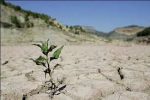 امسال از خشک ترین سال های دوره آماری در کشور است