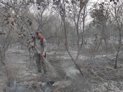 مهار آتش‌سوزی در ۵۰ هکتار از اراضی پارک ملی دز