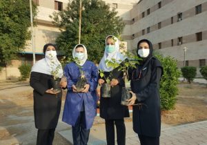 کاشت نهال در بیمارستان ۲۲ بهمن مسجدسلیمان به مناسبت روز پرستار+ تصاویر