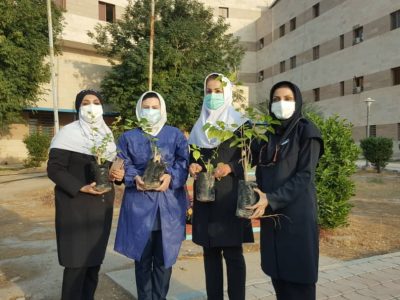 کاشت نهال در بیمارستان ۲۲ بهمن مسجدسلیمان به مناسبت روز پرستار+ تصاویر