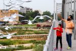 پرندگان مهاجر پل سفید اهواز و لزوم ساماندهی این جاذبه گردشگری-تفریحی