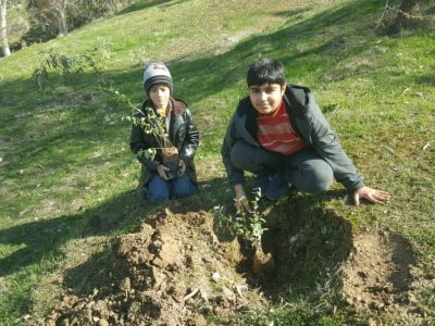 اهدای ۵ هزار اصله درخت به مردم