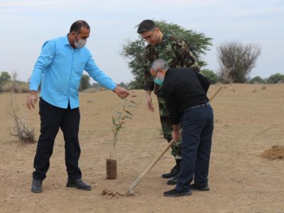 کاشت یک هزار نهال به نیابت از هر شهید در خوزستان