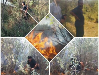 آتش غفلت منابع طبیعی خوزستان بر بیشه زارهای عقیلی و جنت مکان