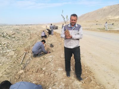 کاشت نهال در کارخانه سیمان کارون همزمان با هفته هوای پاک+ تصاویر