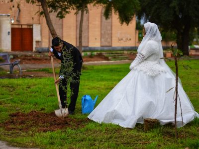 جشن ازدواج زوج دارستانی با کاشت نهال کُنار+ عکس