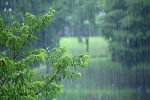 ثبت بیشترین بارش با ۷۶ میلی‌متر باران در لالی