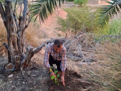 برگزاری جشن تولد درختی در مسجدسلیمان + تصاویر