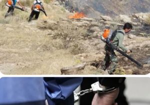  سه سال حبس مجازات عامل آتش سوزی در مراتع بخش شهیون