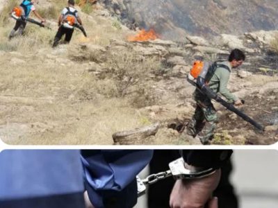  سه سال حبس مجازات عامل آتش سوزی در مراتع بخش شهیون