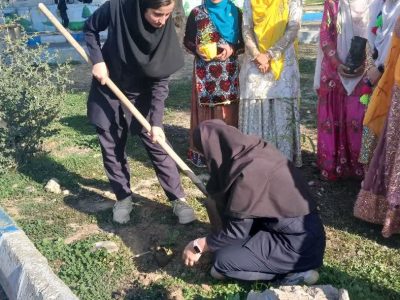 اجرا طرح مدرسه سبز در شهرستان لالی +تصاویر
