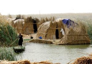 چرا با شعور تالاب هور العظیم بازی می کنید و قلب تالاب شادگان را می شکنید