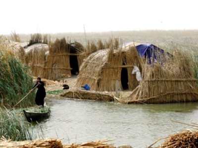 چرا با شعور تالاب هور العظیم بازی می کنید و قلب تالاب شادگان را می شکنید