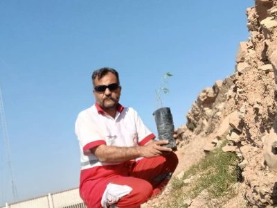 پرورش بذر نهال بومی در جهت احیا جنگلها و گسترش فضای سبز