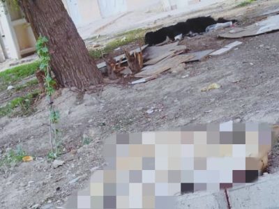 سگ کشی در مسجدسلیمان !؟