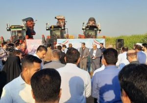 “دهخدا” سرسبزتر از “اهواز”