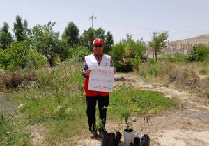 اجرای طرح محله سبز در مسجدسلیمان ادامه دارد