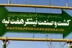 شرکت هفت تپه هرگونه گمانه زنی پیرامون دلایل جان باختن یکی از کارگران این شرکت را رد کرد