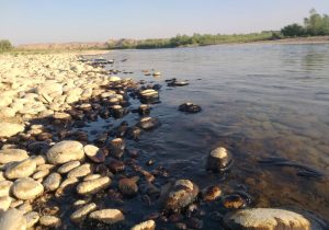 آلودگی نفتی به رودخانه جراحی رسید +ویدئو
