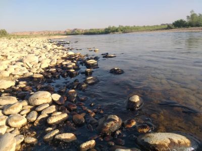 آلودگی نفتی به رودخانه جراحی رسید +ویدئو