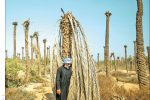 خوزستان را از دست این ها نجات دهید