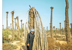 خوزستان را از دست این ها نجات دهید
