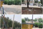 ضرورت احیای فضای سبز شهری در مسجدسلیمان +تصاویر