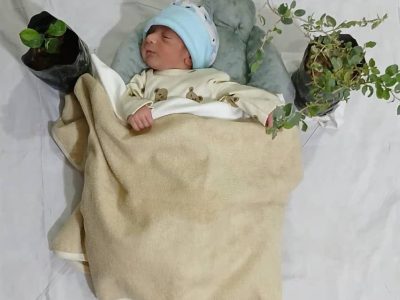 جشن زمینی شدن فرزند با نهالکاری در مسجدسلیمان +تصاویر