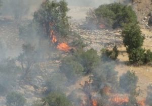 هزینه‌های پنهان