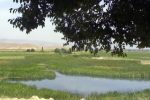 تالاب بامدژ؛ آینه‌ای از زندگی در دل دشت‌های خوزستان