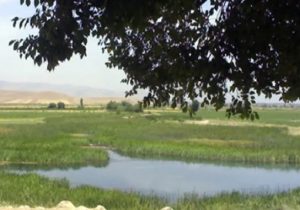 تالاب بامدژ؛ آینه‌ای از زندگی در دل دشت‌های خوزستان