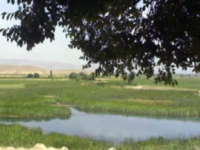 تالاب بامدژ؛ آینه‌ای از زندگی در دل دشت‌های خوزستان
