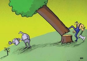 مجوز شهرداری مسجدسلیمان برای قطع درختان