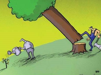 مجوز شهرداری مسجدسلیمان برای قطع درختان