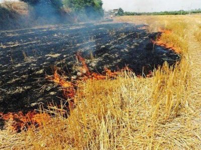سوزاندن بقایای کشاورزی خشکسالی را تشدید می‌کند