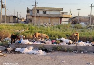 پیگیری وضعیت انباشت زباله در شادگان؛ خرابی ناوگان حمل زباله علت تأخیر در جمعآوری