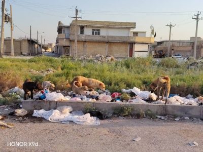 پیگیری وضعیت انباشت زباله در شادگان؛ خرابی ناوگان حمل زباله علت تأخیر در جمعآوری